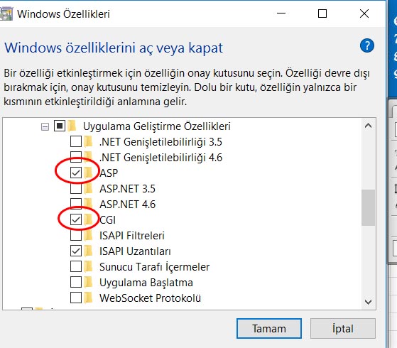 Windows 10 indirilen yazı tipleri nasıl kullanılır